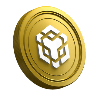 BNB-cryptomunt op de instructiepagina voor beginnende traders